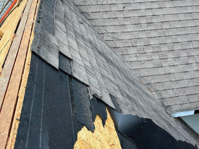 roofing2.png